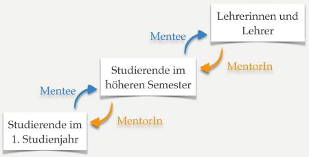 Übersichtsgraphik über das Lehramtsspezifische Mentoring