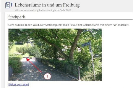 Screenshot aus der Wiki-Anleitung zur Stadtparkexkursion (Das Bild wurde durch die Konzeptionsgruppe der Exkursion aufgenommen und bearbeitet.)