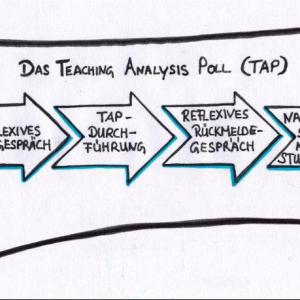 Graphik zum Teaching Analysis Poll (TAP) in der Lehrwerkstatt Lehrerbildung