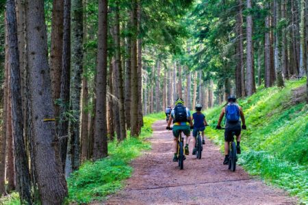 Fahrradtour mit E-Bikes im Wald