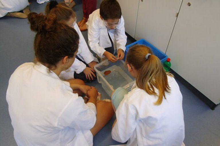 Eine Gruppe Schülerinnen und Schüler sitzt in weißen Laborkitteln um eine Box mit Wasser und führt ein naturwissenschaftliches Experiment durch.