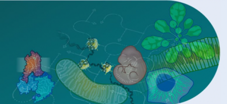 Grafische Darstellung verschiedener Zellorganellen und Moleküle auf blau-grünem Hintergrund